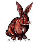 redrabbit6969 (Red Rabbit) OnlyFans Leaked Content 

 profile picture