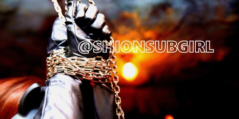 Header of shionsubgirl