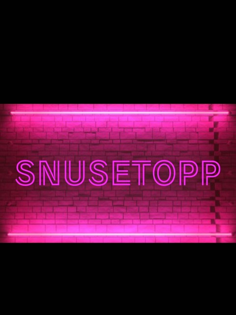 Header of snusetopp