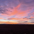 sodakgurl OnlyFans Leak 

 profile picture