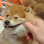 Onlyfans leaked specialgiftz 

 profile picture