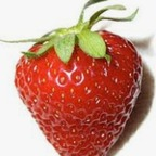 Big 🍓 (@sugarlicia) Leak OnlyFans 

 profile picture