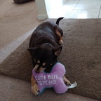 Free access to (sushimama) Leaks OnlyFans 

 profile picture