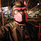 Onlyfans leaks travelingbarguy 

 profile picture