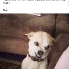 Onlyfans leaks twinklethefairy 

 profile picture