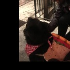 u1230461 OnlyFans Leaked 

 profile picture