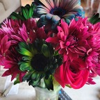 u154337883 OnlyFans Leaked Photos and Videos 

 profile picture