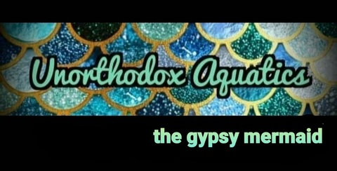 Header of unorthodoxaquatics