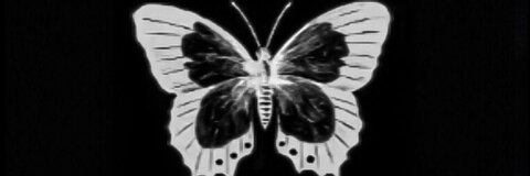 Header of urfavgeminiho