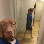 vava974 (Vava) free OnlyFans content 

 profile picture