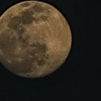 Download villain999 OnlyFans videos and photos for free 

 profile picture