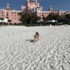 Onlyfans leaks wyst3ria 

 profile picture