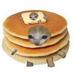 yoitsal OnlyFans Leaks 

 profile picture