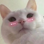 Free access to @zaeann Leaked OnlyFans 

 profile picture